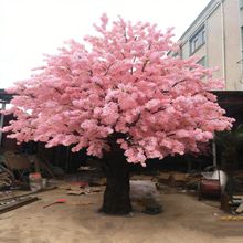 ���ͷ����һ��䲣��䓙ѻ����̈��b�����t���S��c�쾰��