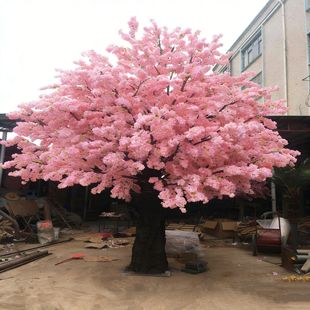 ���ͷ����һ��䲣��䓙ѻ����̈��b�����t���S��c�쾰��