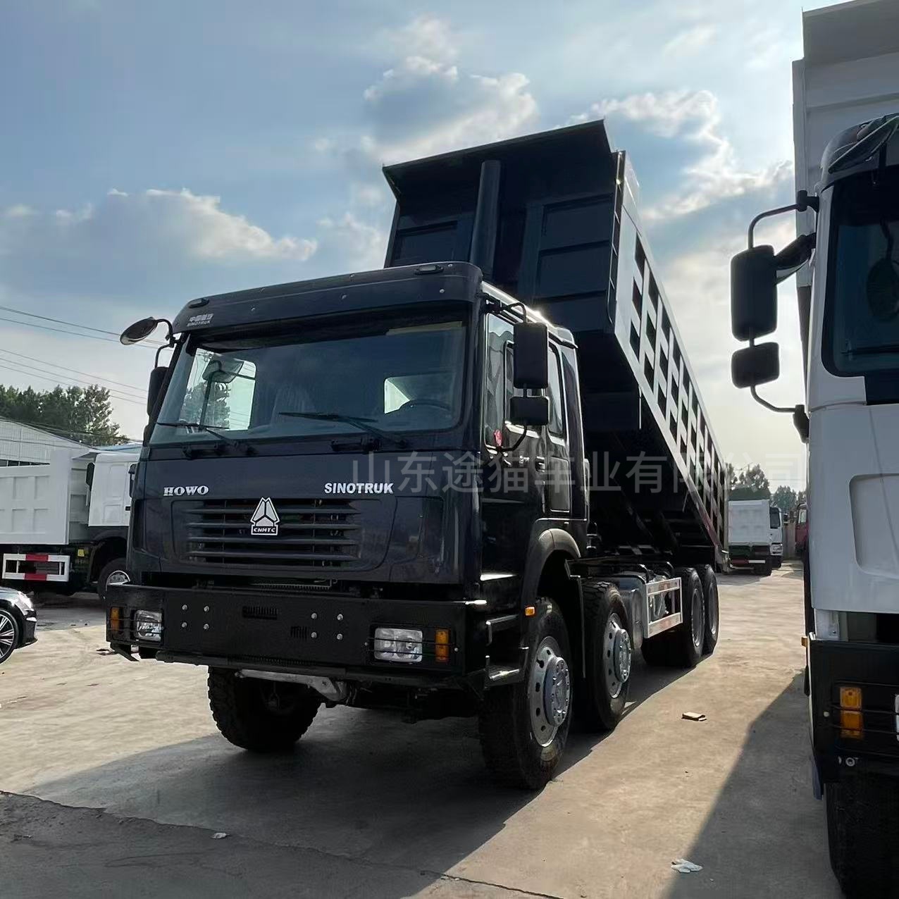 Sinotruk Howo Front-Four-Wheel-Drive and Rear-Eight-Wheel-Drive Dump Truck, 90% New, 8×4 Dump Truck, 371/375 Horsepower Engineering Dump Truck