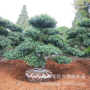 �������l�o���۹� ���͟o���۹��� ���ϟo���۹ǘ���r��