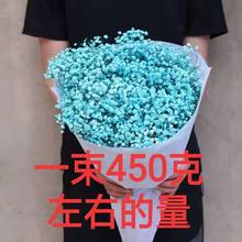 马卡龙色系满天星干花批发鲜花永生花