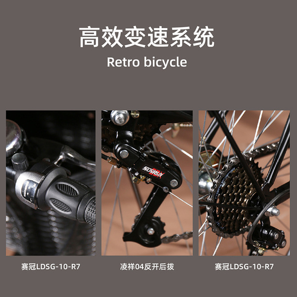 Retro bike for adults