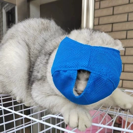 狗狗食具;狗狗玩具;狗狗清洁