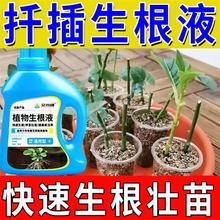 植物生根营养液通用型强力爆根促根壮根土培绿植盆栽花卉液体肥料