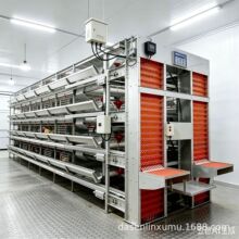 跨境自动化集蛋系统家禽设备养殖鸡舍组合层叠育雏h型框架蛋鸡笼