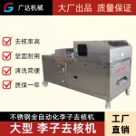 李子去核机 新型全自动李子去核机工业不锈钢李子去核机厂家直销