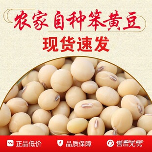 ��Ʒ�N�S���r���ԷN�S�������S�����S�����{ԭ������