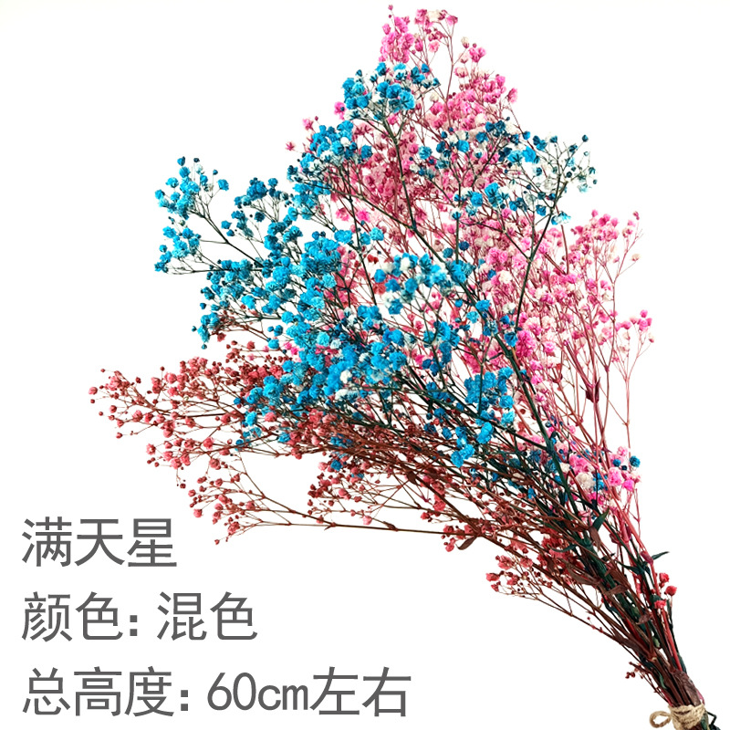 샴페인 컬러 혼합 컬러 아기의 숨결 꽃다발