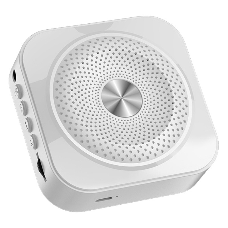 Bee Microphone for Teachers Small Large Volume Selling Horn Stall Promotional Portable Loudspeaker