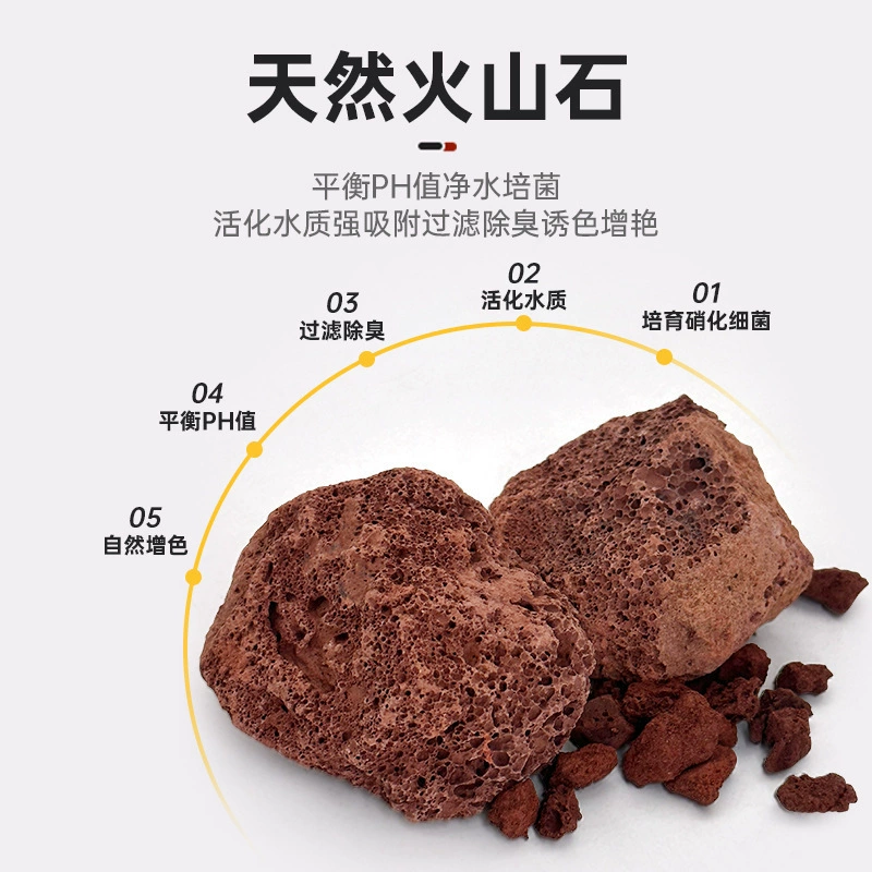 Природные вулканические каменные частицы красного вулканического камня дно песка мякоть орхидей