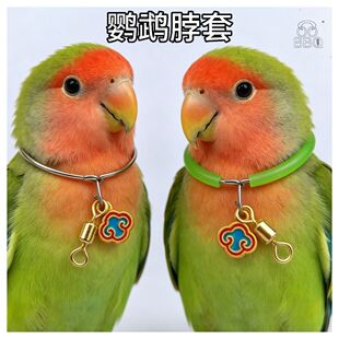 [ҹ��]�W�^���� ���pĵ�����P��� С�B��С̫ꖲ�Ȧ�B���ӭh