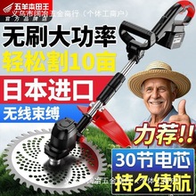 늄ӸݙCoʽݙCܶ๦rñؓʽôʸ