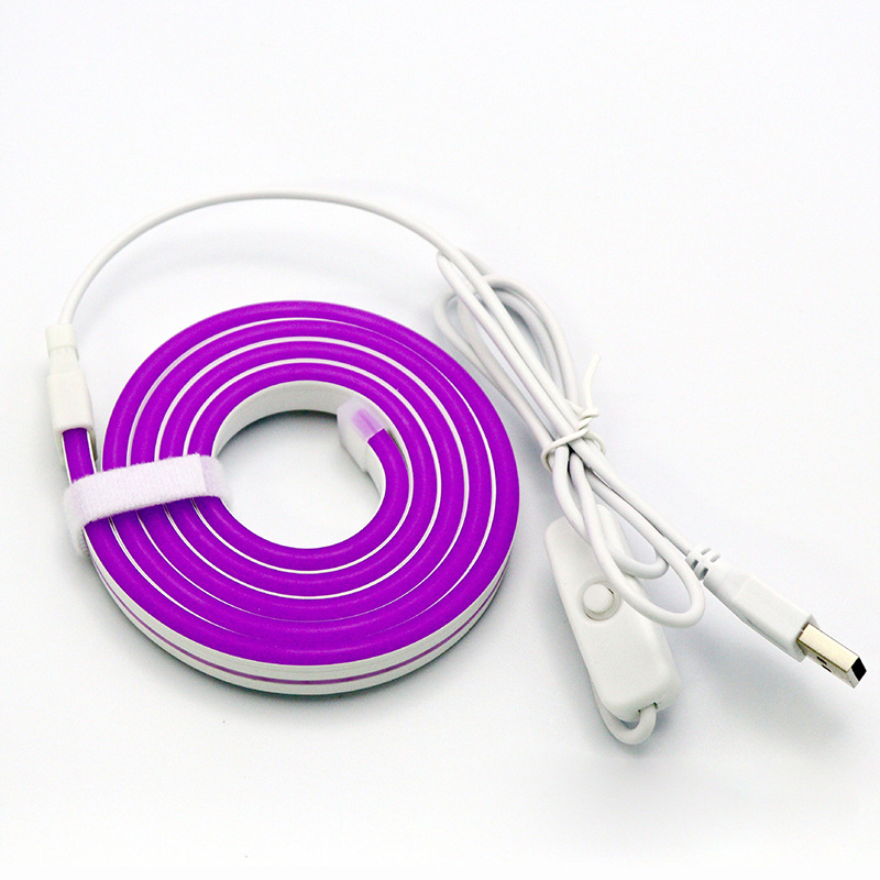 Interruptor púrpura USB 501