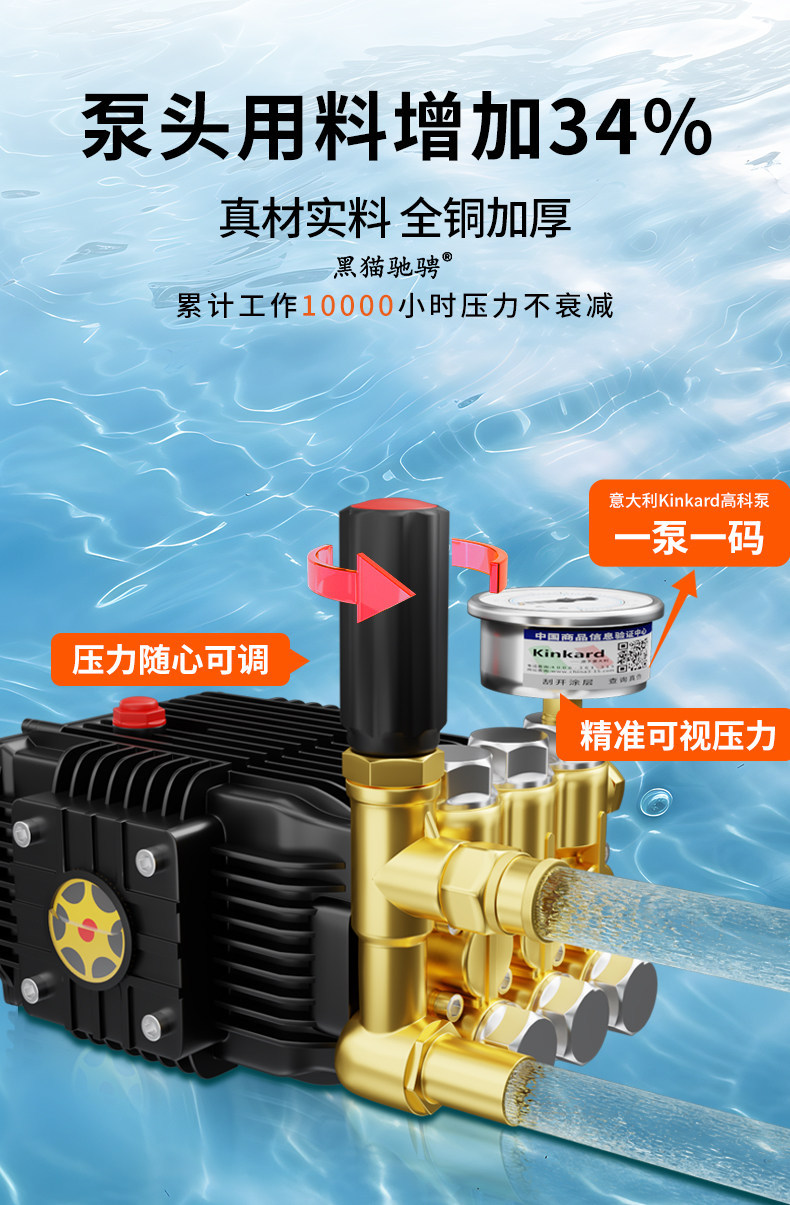 Black Cat High-Pressure Car Washer 220V Commercial Car Wash Shop Wall-Mounted High-Power Cleaning Machine Water Gun Car Wash Pump