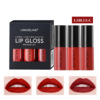 La Murislan/Lamuseland 3 installed lip gloss sample matte matte cup# L18L13