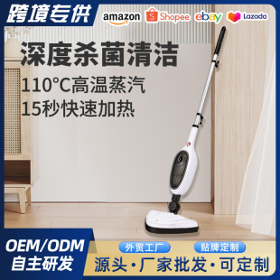 Russian Ozone Cross-Border Decontamination Mop High Temperature Steam Brush Electric Steam Mop Amazon Foreign Trade Spot