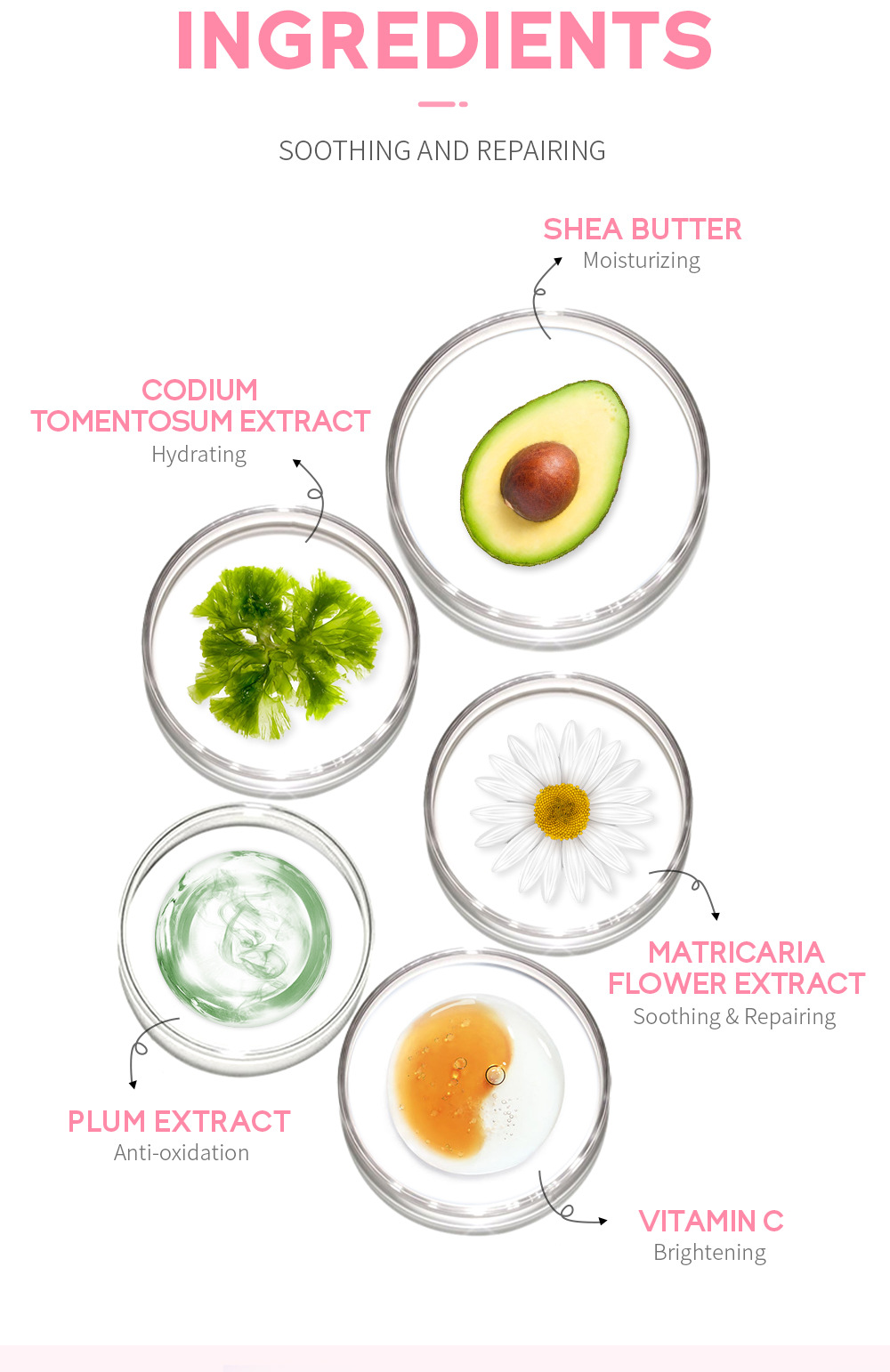 LAIKOU Cherry Blossom Mask Mud 75g, an application type mud mask for pore cleansing, skin care, moisturizing and hydrating, cross-border undefined