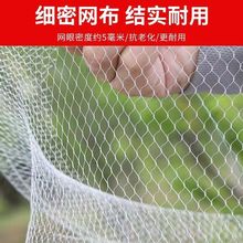 ���l��r�\�A������r�W���Ӻ��׿��ۯB��ȦС�W����з���r�W