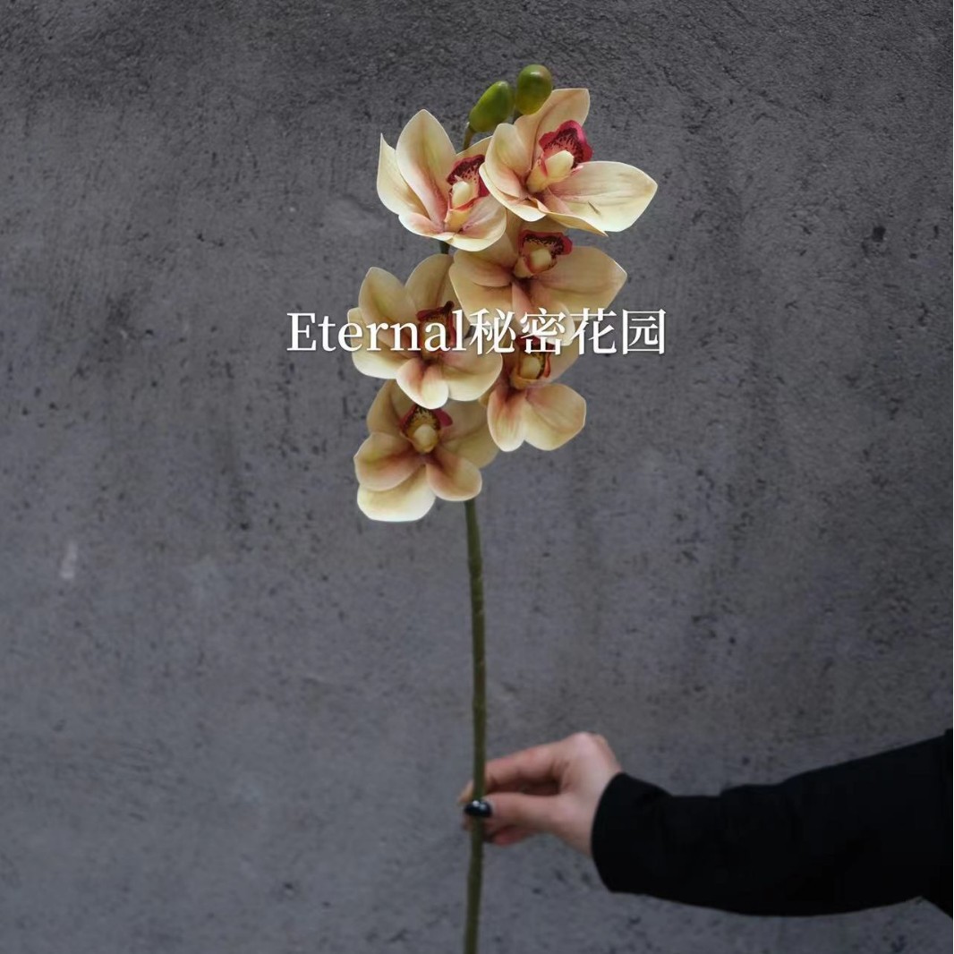 Big Huilan amarillo claro