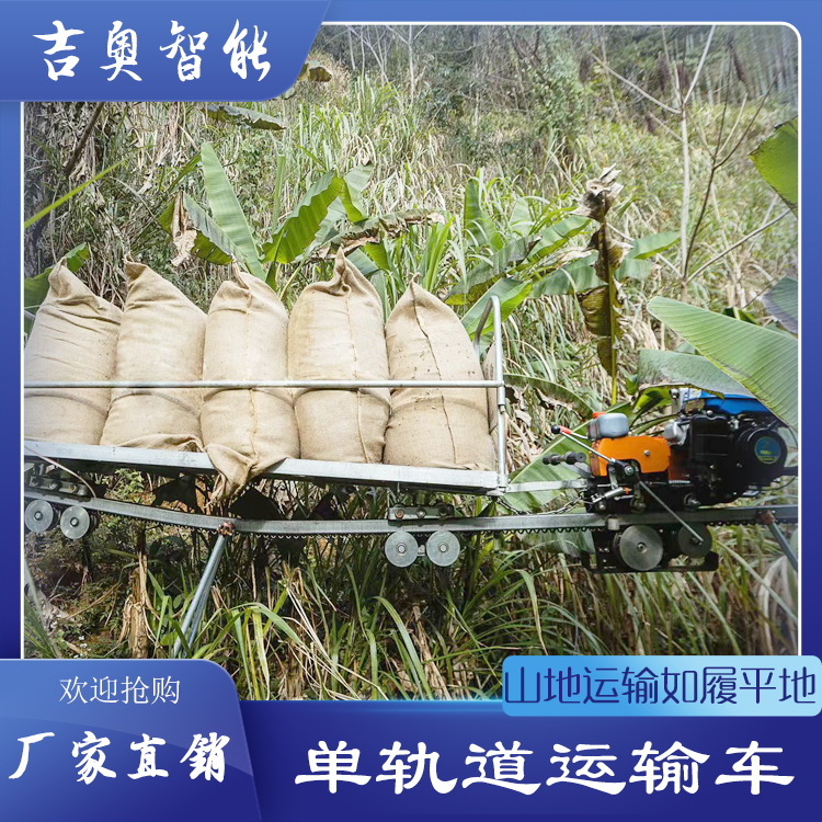 山地果园单轨运输机 自走式汽油动力山地轨道运输车 搬运爬坡车