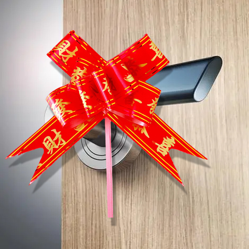 Gong Xi Fa Cai Decorative Lahua Opens 4S Store Car Delivery Spring Festival Happy New House Green Plant Potted Plant