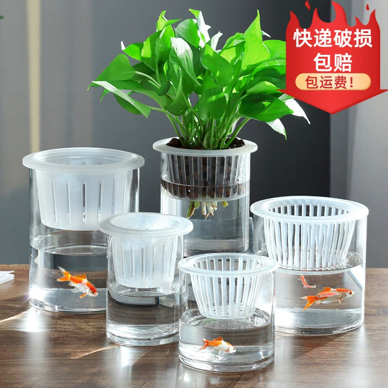 Прозрачная прямая цилиндрическая ваза для гидропоники, стеклянная бутылка для растений, контейнер для воды, аквариум для пальмы плющевидной, стеклянный контейнер для водной культуры.