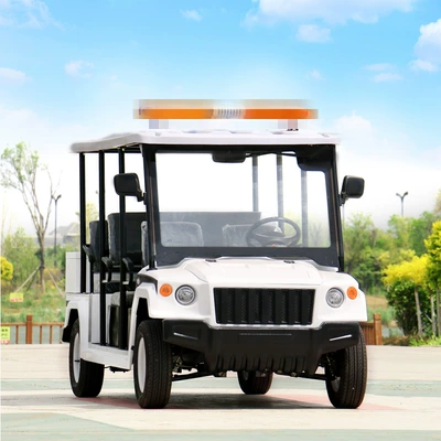 Sightseeing Shuttle Car, Reception – Elektrikli qolf avtomobilləri
