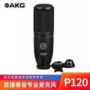 AKG �ۿƼ� P120 ���I��������L�������������ֱ��K��ԒͲ
