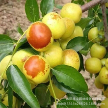 ���l�������� ���������ֱ�l ��z�󗗘���r�� մ�����������l