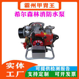 fyrpak原装背负式森林消防水泵高压接力泵背负式高压森林灭火水泵