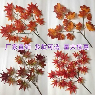 �t���~��ͩ�~���Ř��~�b��＾��tɫ�^�z������~