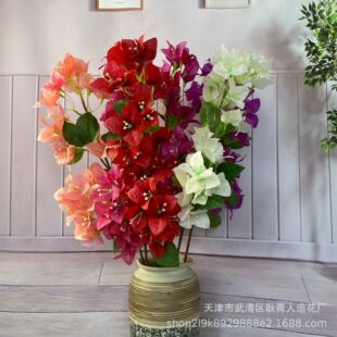 �ٻ����滨����÷�Gֲ�Ƶ��c�Ƶ�ܛ�b�����쾰�b�����÷��