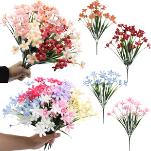 �羳���N���滨�����m�� �Ҿ��b[�� ����Gֲ���컨�ٻ����l