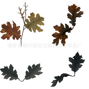 �S�ҿ羳���N����z��2�����~��ɫ��ˇ�廨�＾�f�}�}�Q�b����