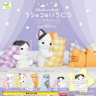 [September Pre-Sale] Cute Pillow Kittens for Sale
