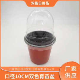 双色育苗花盆塑料加厚多肉育苗盆10CM口径大号基地育苗小花盆批发