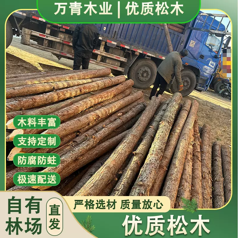 松木桩打桩木河道工程护堤绿化驳岸桩林场直发原木护岸实木
