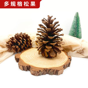 �����ɹ����� �}�Q�ɹ� �������Ô[�� �Ҿ��b�DIY�ɻ�����