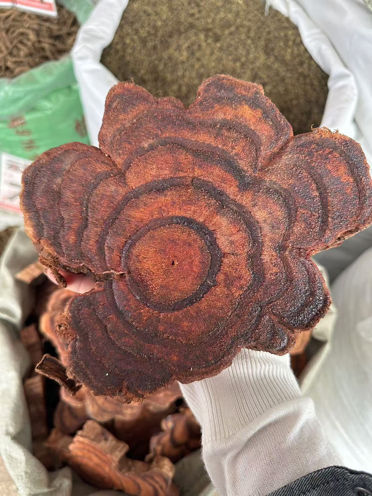 e6491b4c-195f-452c-bbed-68a1db