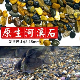 Stream Stone Sand Fish Tank Bottom Sand Native Stream Turtle Tank Landscape Stone Sand Natural Decoration Special for Aquarium Bottom