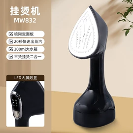 挂烫机;电熨斗;电吹风