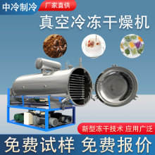 全自动小型真空冷冻干燥机中药材水蛭鹿茸低温冻干设备果蔬冻干机