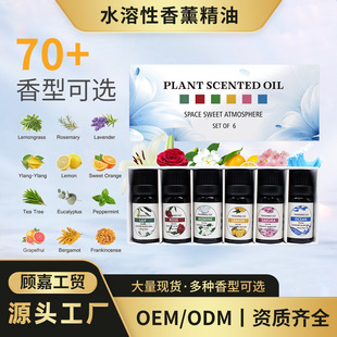 һ�����lˮ������޹����10ml���·���ӝ����U��־�����羳���l