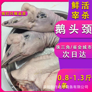 �V�|���h�����Z�^�i�����Z�^�������r��F���Z���Z؛