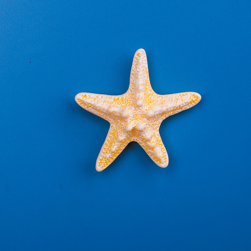 かわいい海洋風貝殻海星樹脂冷蔵庫貼り立体磁気貼り鉄石洞板装飾磁気貼り|undefined