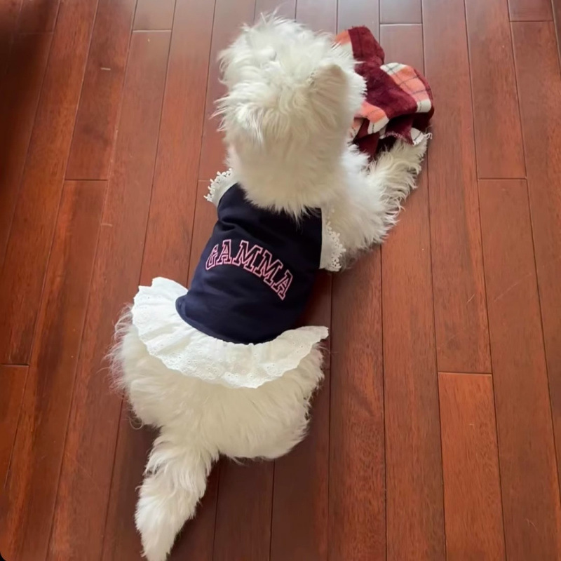 Ropa para mascotas Primavera y verano Chicas calientes transpirables de encaje camisola perro Teddy Bichon Perro pequeño Bomei