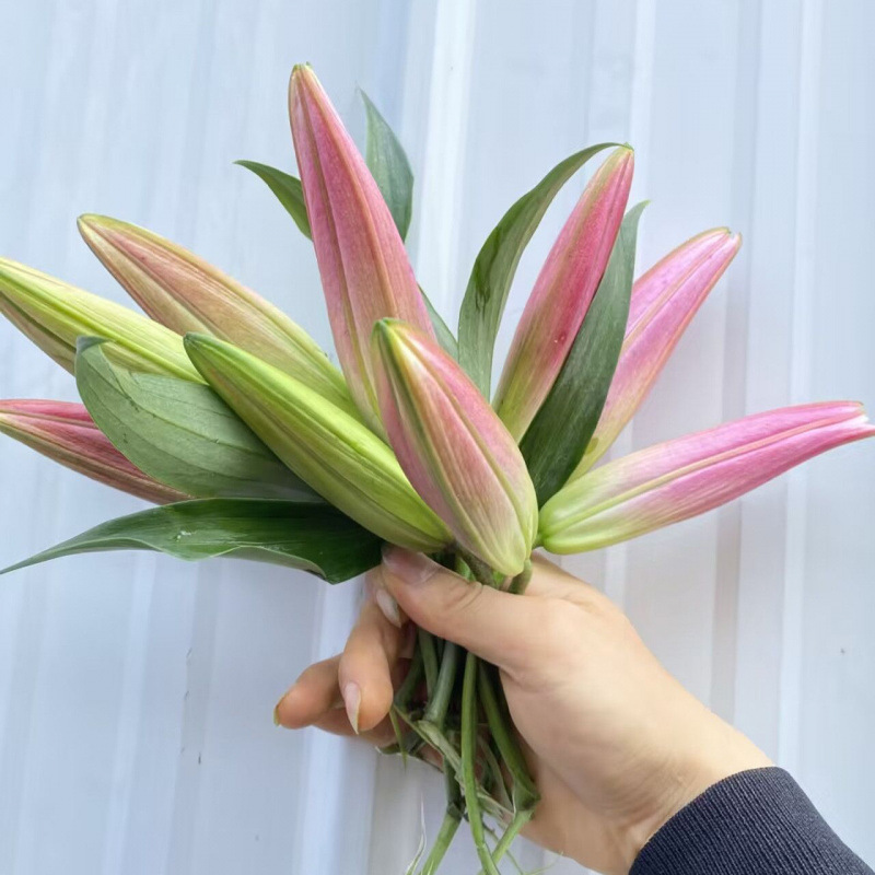 香水大頭ユリの花束雲南昆明直毛多頭バラ卸売新年既製花束|undefined