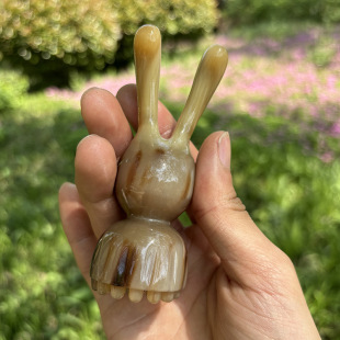 �S�����l��Ȼţ��һ�w����ɏ��Ę����Ħ�沿�α�����