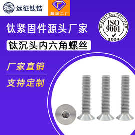 M2M3M4M5M6M8M10钛合金TA2钛沉头内六角螺丝 平头螺丝钉*16/20mm