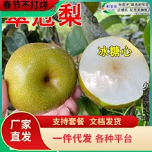 һ�����l�������������ѩ�����ϱ����ش�������Լ޽���Ƥ����